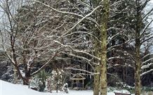 Bethany Manor Bed and Breakfast