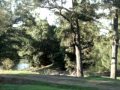 Rustic Caravan Park