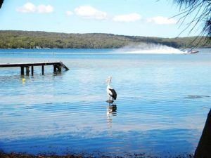 Dungowan Waterfront  Accommodation