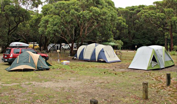 Pretty Beach Campground, Murramarang National Park