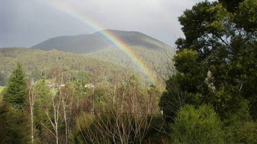 Wattletree Cottage