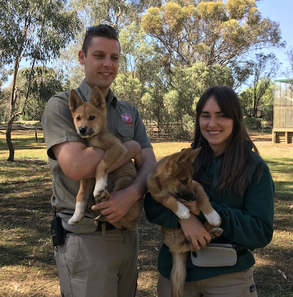 Kyabram Fauna Park