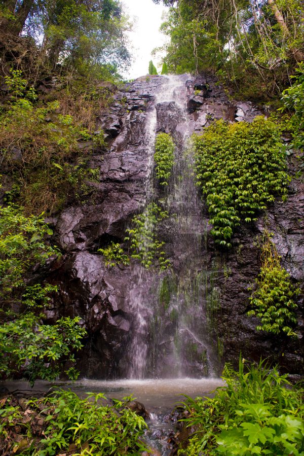 Nimbin Waterfall Retreat