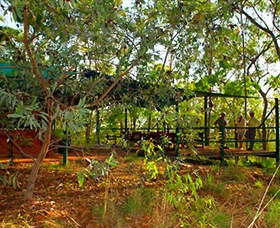 Arnhemland Barramundi Nature Lodge