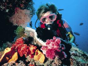 Cook Island Dive Site