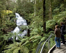 Great Otway National Park