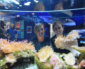 Solitary Islands Aquarium
