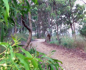 Mount Mutton Walking Trail
