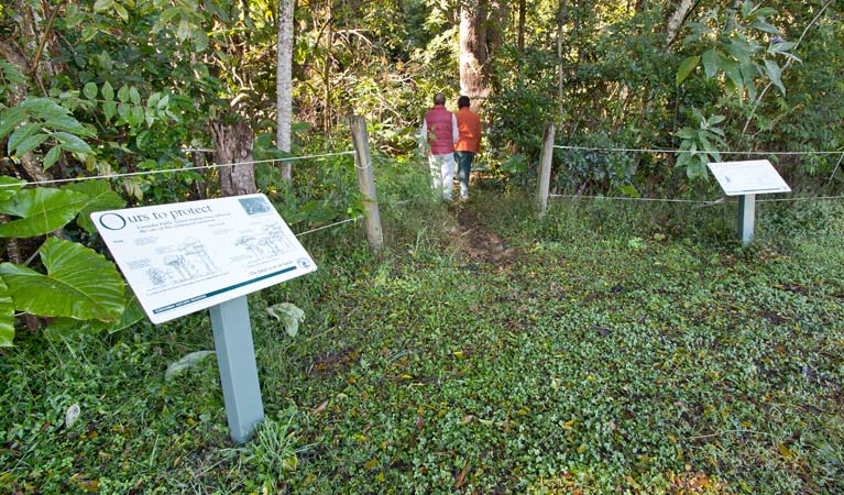 Coramba Nature Reserve