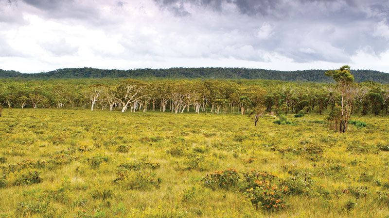 Yuraygir National Park