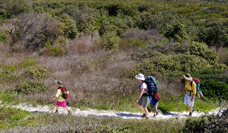 Yuraygir coastal walk