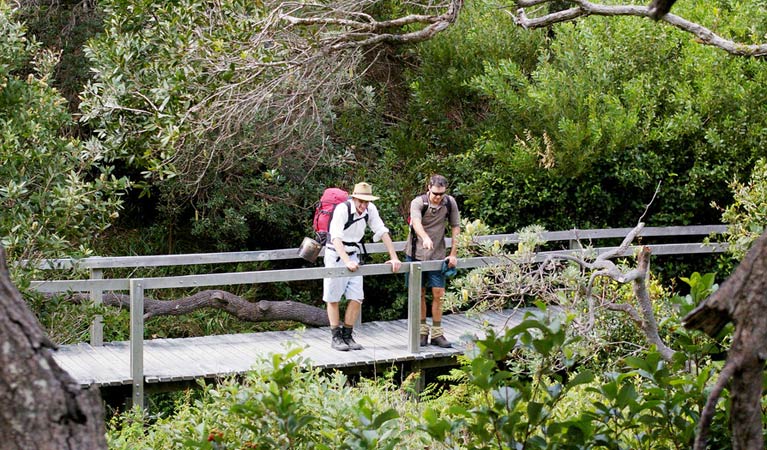 Wilsons Headland walking track