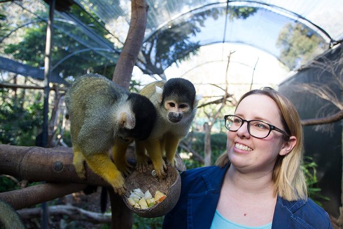 Adelaide Zoo Behind the Scenes Experience: Squirrel Monkey Feeding