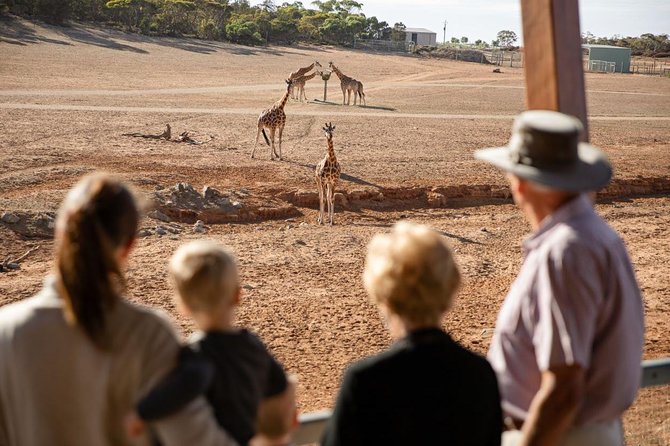 Monarto Safari Park General Admission Ticket