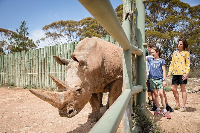 Rhino Interactive and a day at Monarto Safari Park
