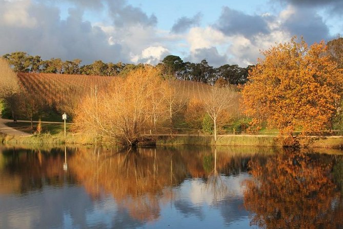 Small-Group Fleurieu Peninsula Food and Wine Experience by 4WD Including 3-Course Lunch