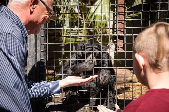 Adelaide Zoo Behind the Scenes Experience: Meet the Primates