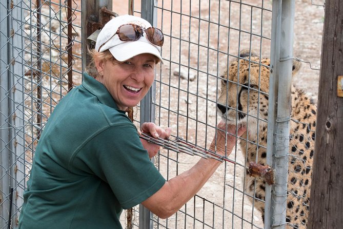 Cheetah Experience at Monarto Safari Park