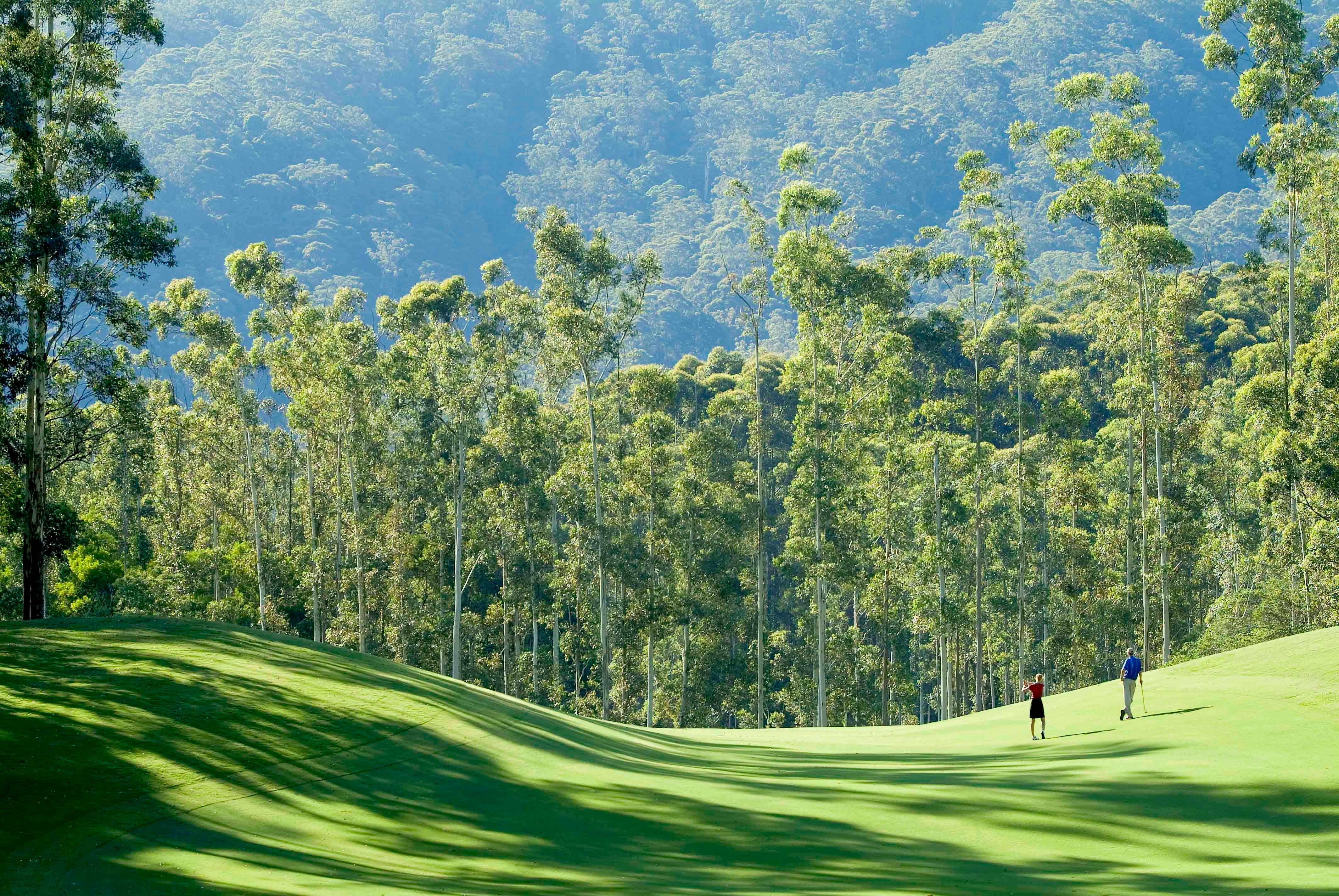 Bonville Golf Resort