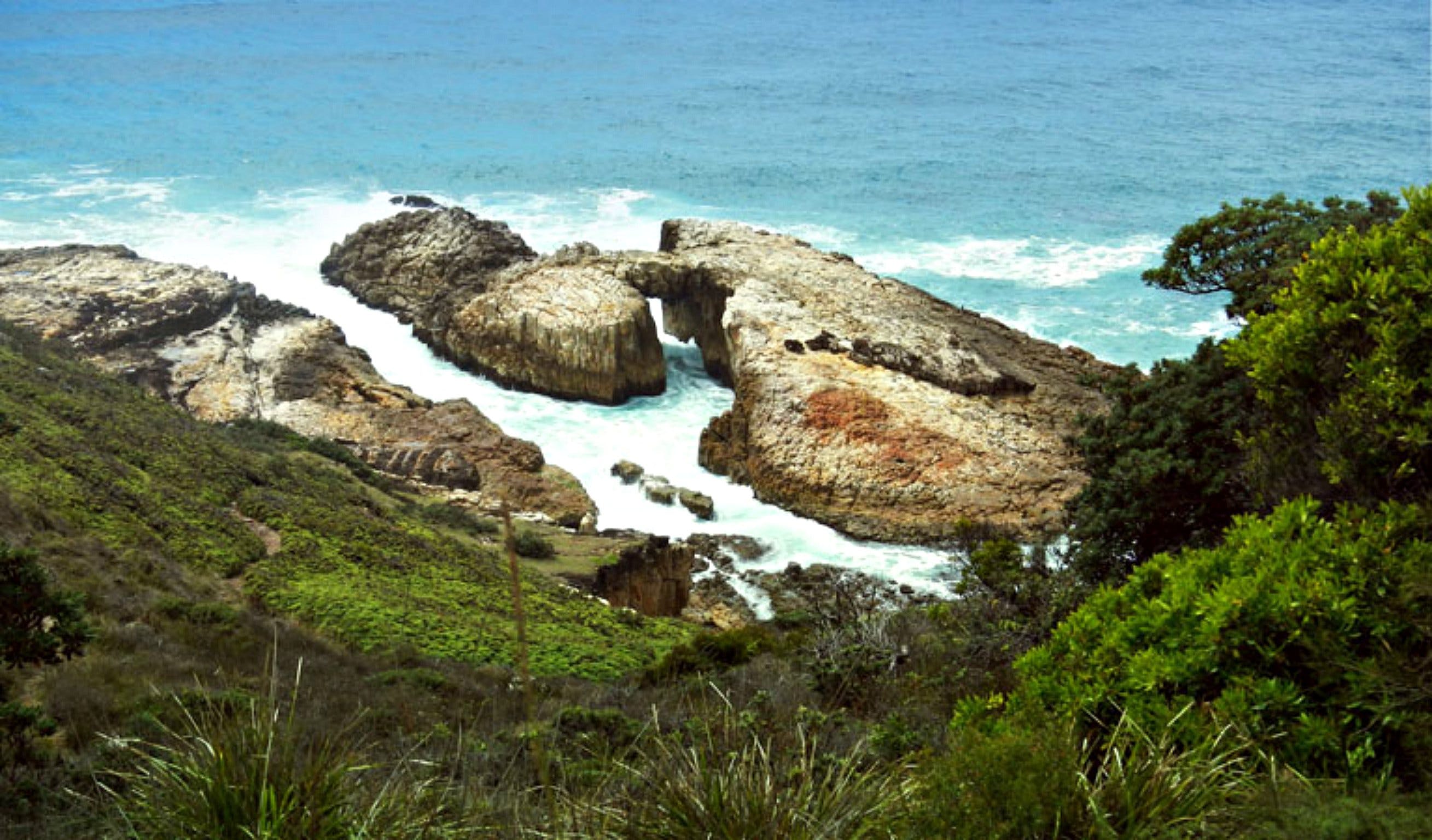 Diamond Head Loop Walk