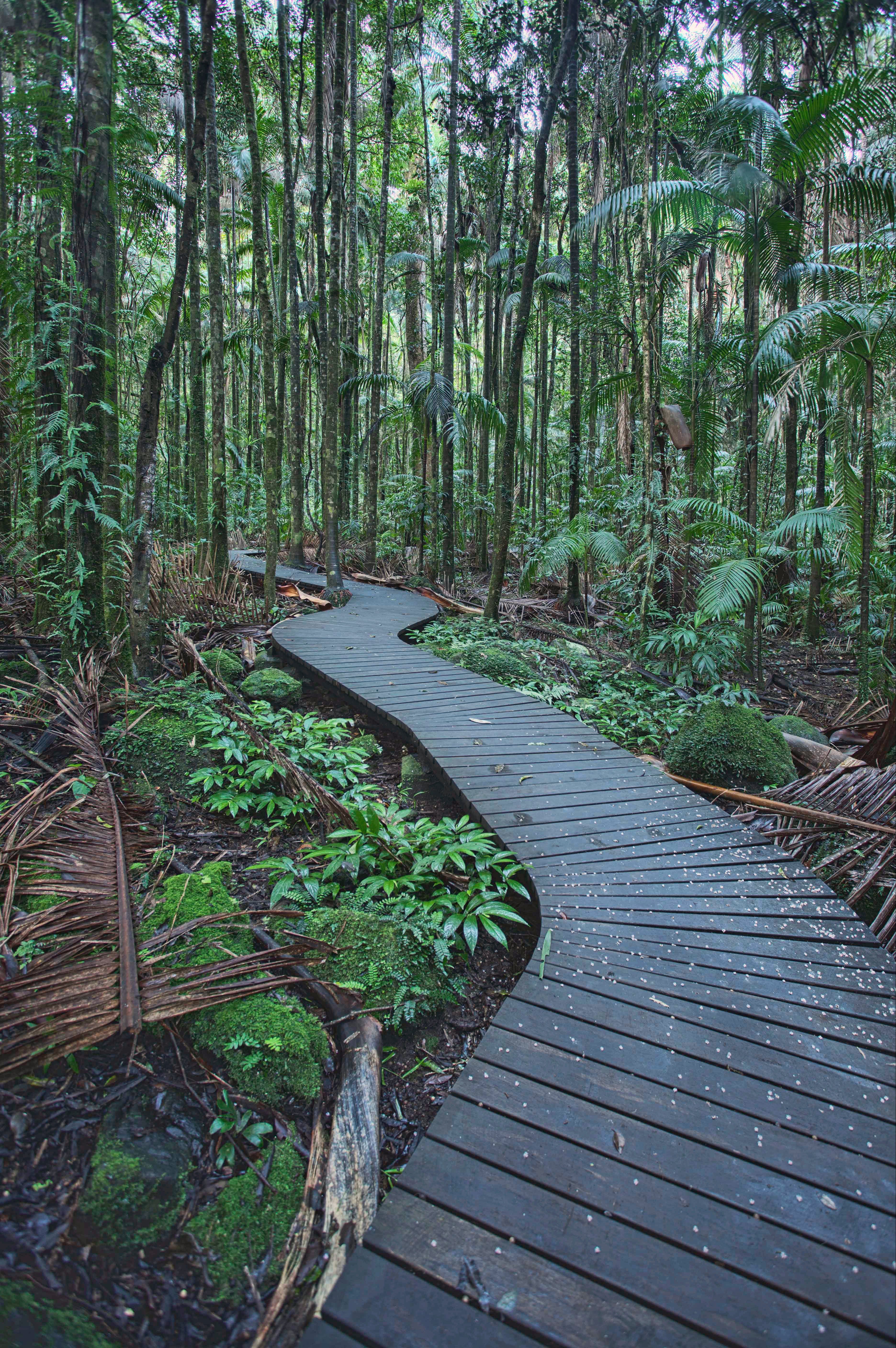 The Channon, Protesters Falls, Nimbin and Mount Nardi