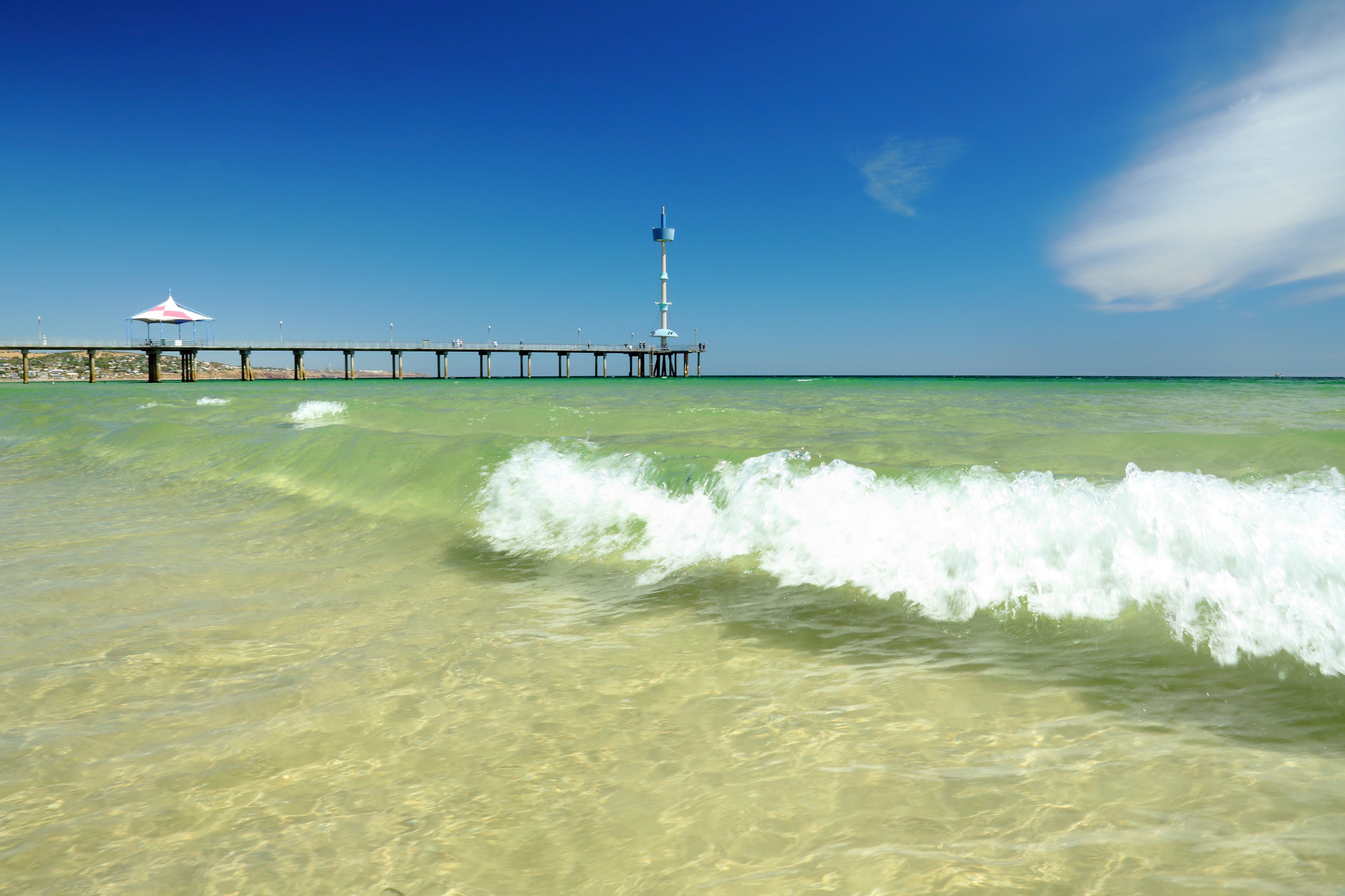 Brighton Jetty