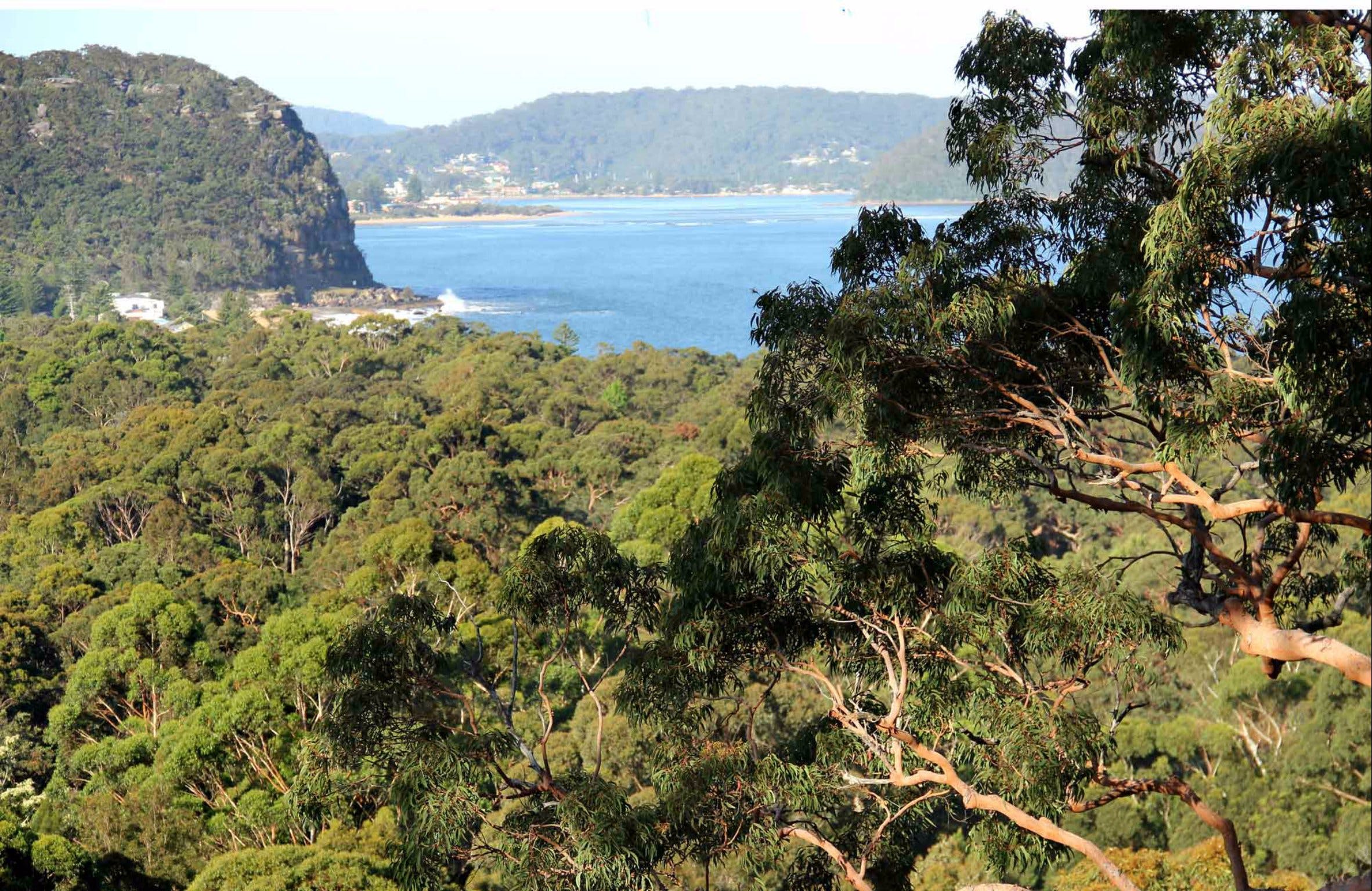 Patonga to Pearl Beach Walking Track