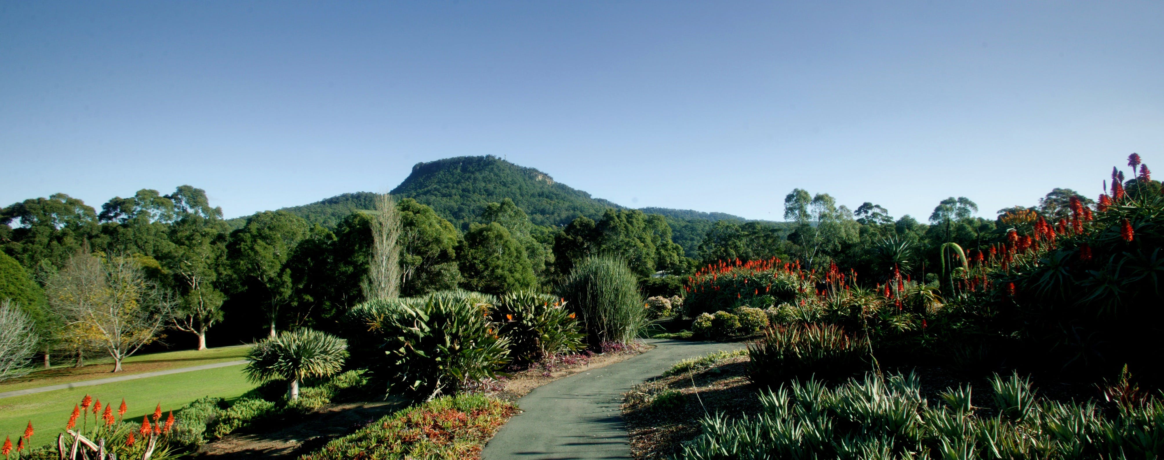 Botanic Garden, Wollongong