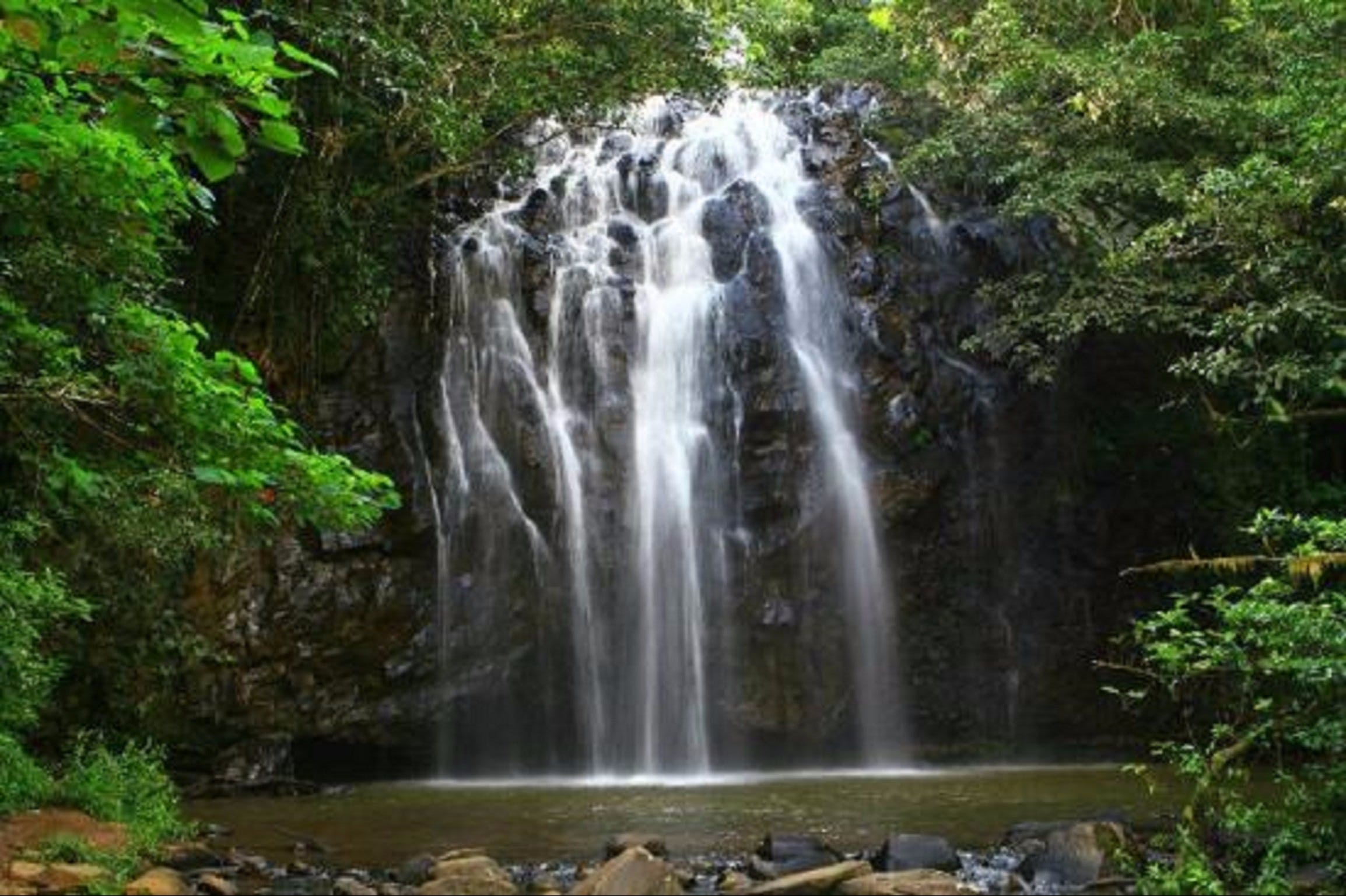 Ellinjaa Falls