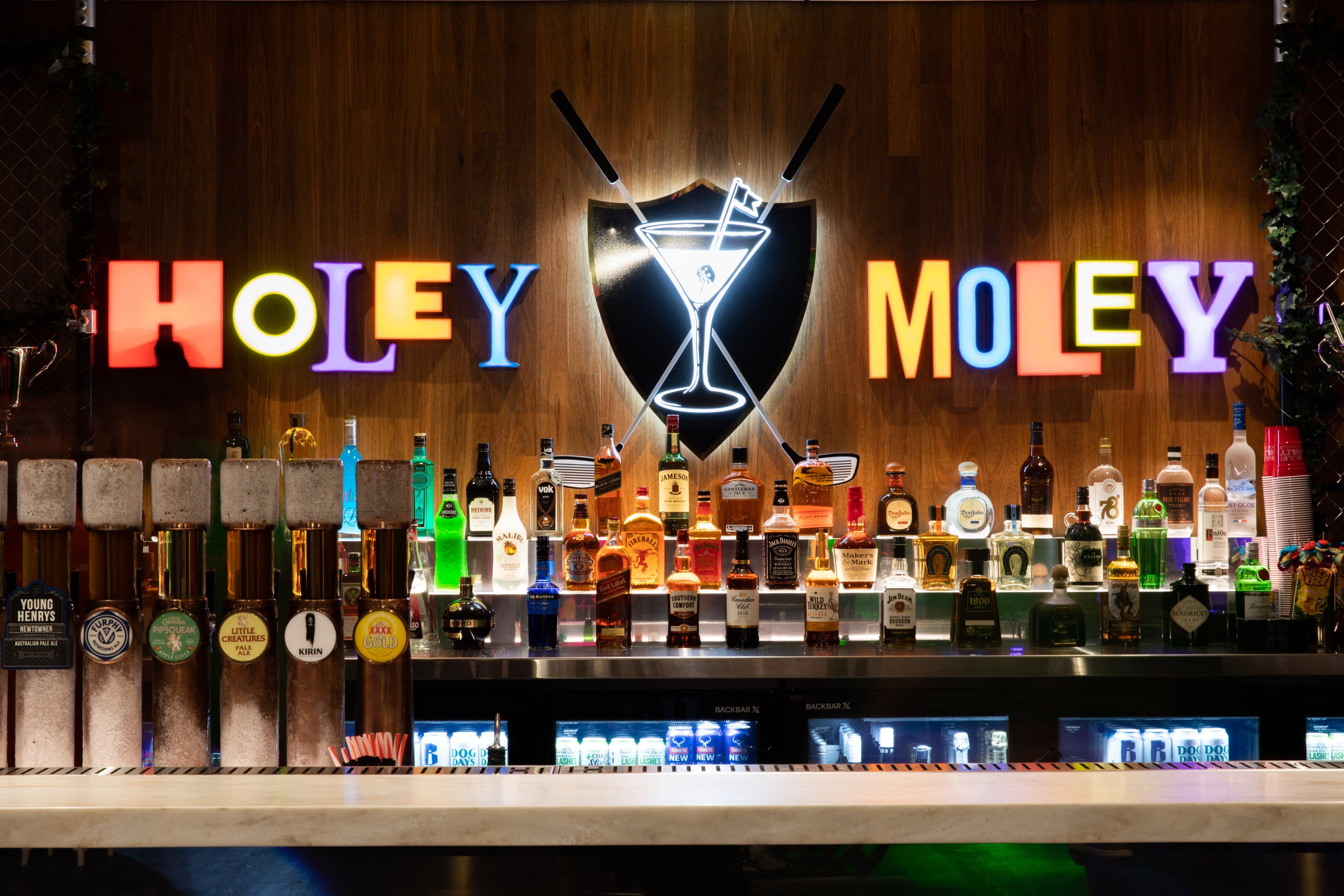 Holey Moley Wollongong