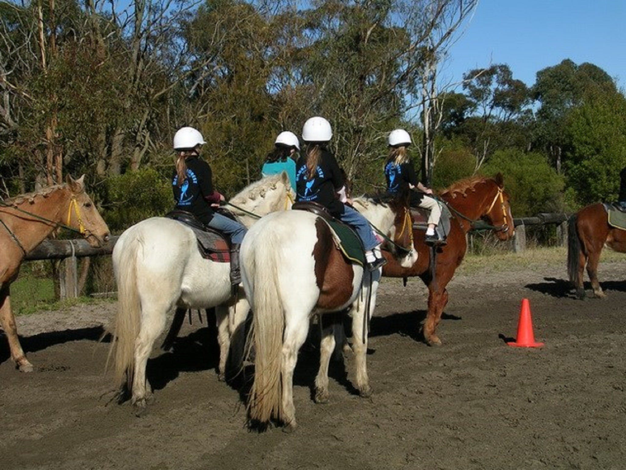 Darkes Forest Riding Ranch