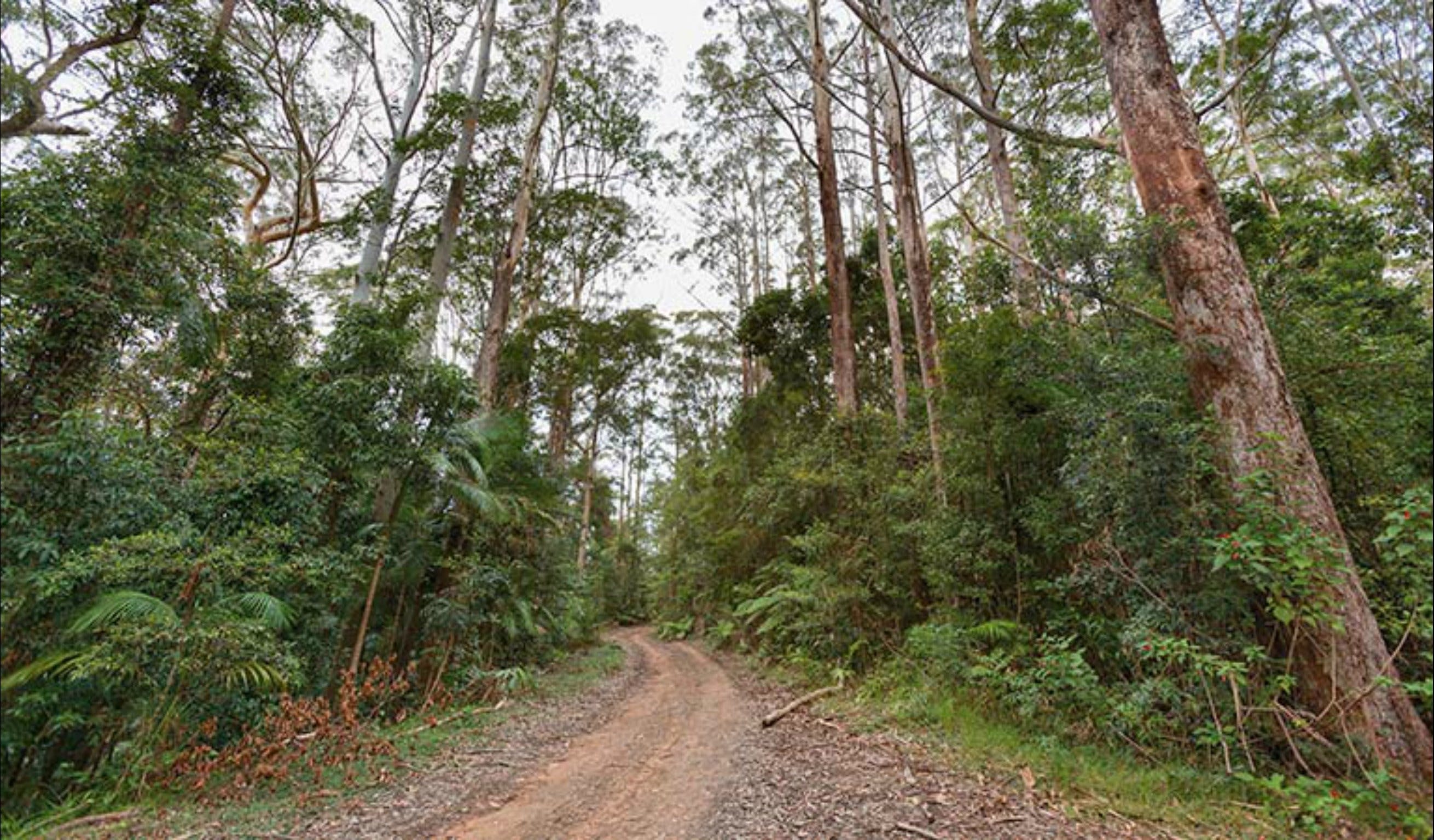 End Peak walking track