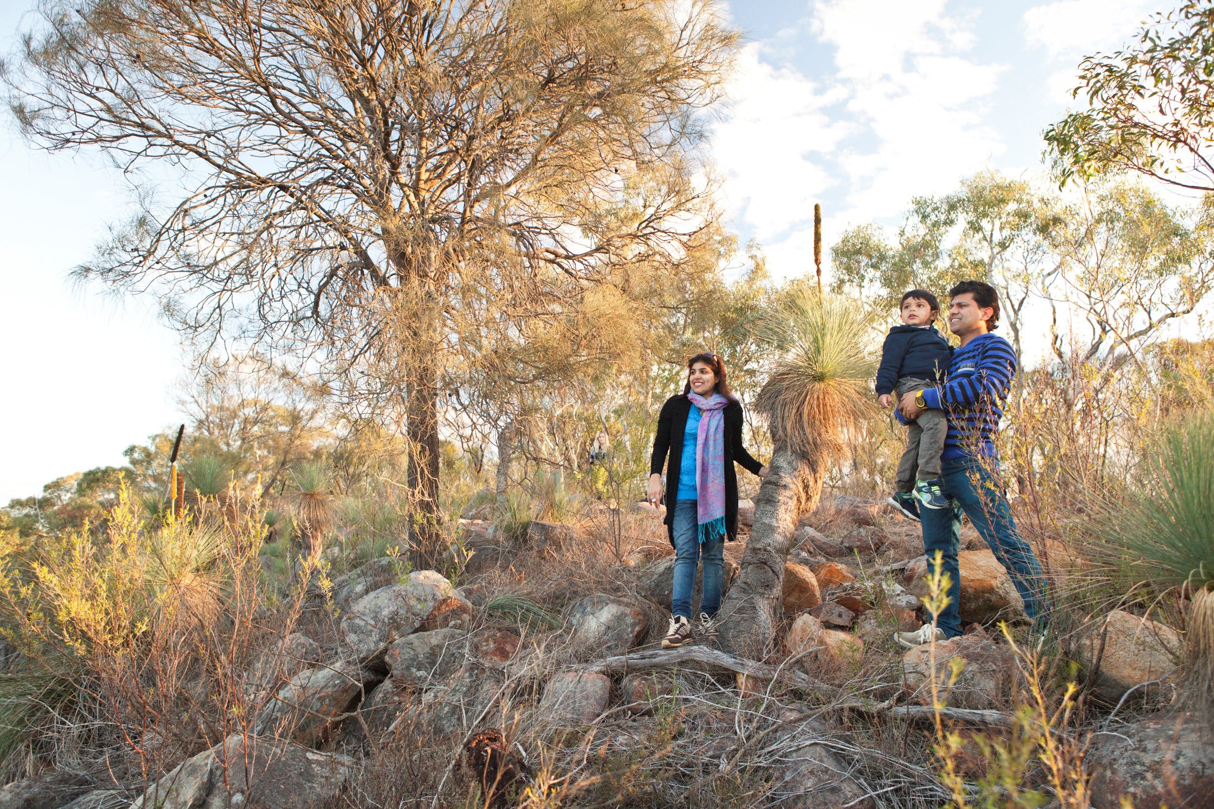 Para Wirra Conservation Park
