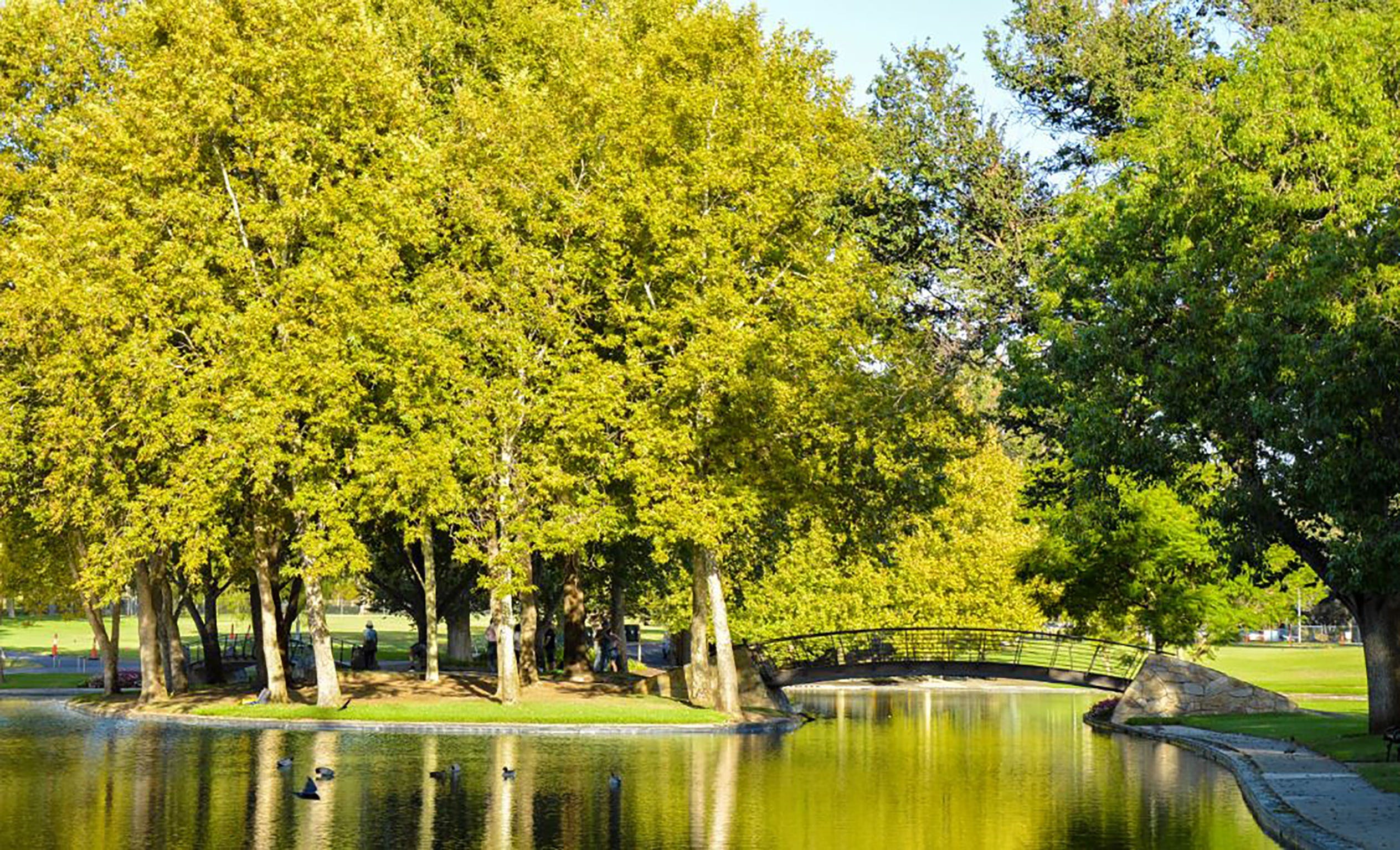 Rymill Park/Murlawirrapurka