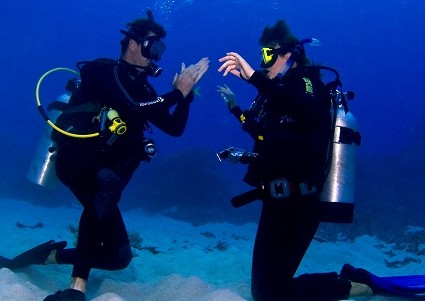 Pro Dive Cairns