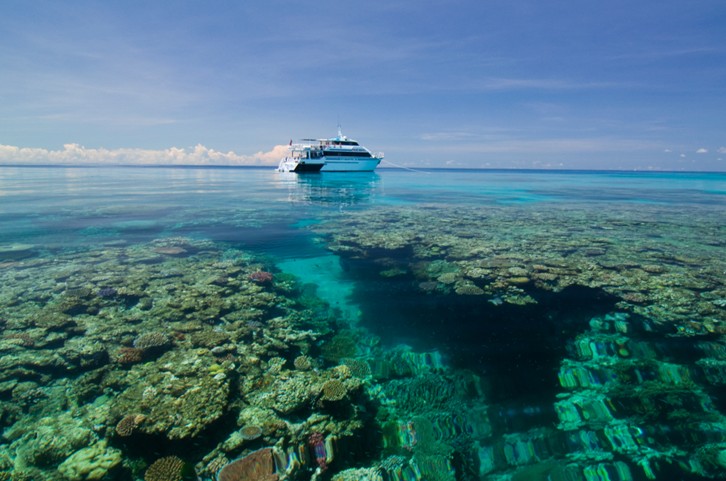 Pro Dive Cairns