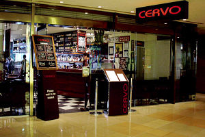 Cervo