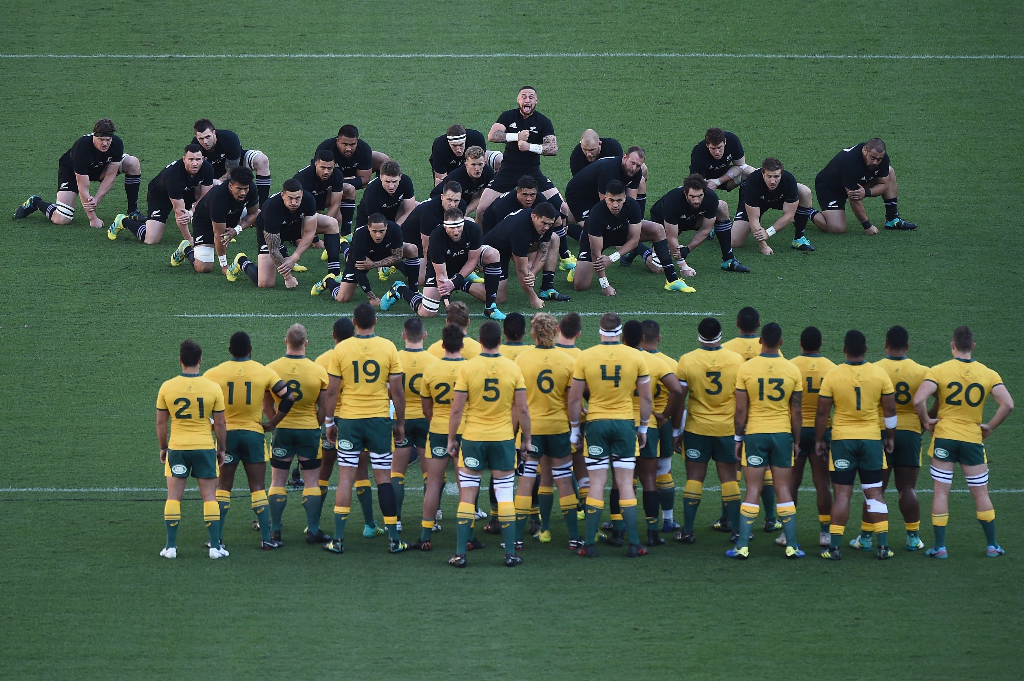 Bledisloe Cup: Qantas Wallabies versus All Blacks